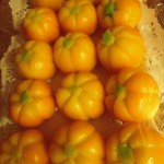 des potirons en pâte d'amande
